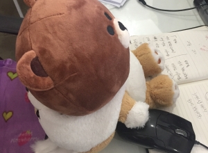 #라인 #브라우니 #여우모자