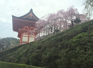 #일본 #여행 #천수사