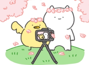 벚꽃놀이
