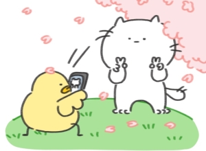 내 사진 잘 찍어줘 프사로 쓰게