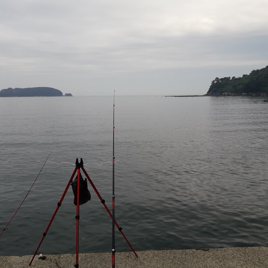 08523597a40685bba469d0586ad2670a_1526810920_1061.jpg 달아항 낚시여행기