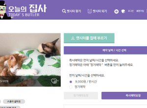 오늘의 집사 - 고양이 시터/집사 중계 플랫폼