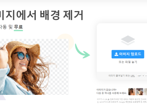 사진의 배경이미지를 제거해 주는 사이트