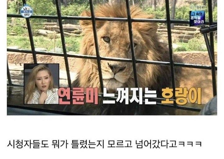 아무도 알아채지 못한 자막 실수