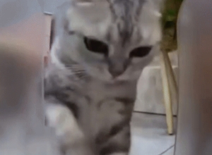 냠 냠