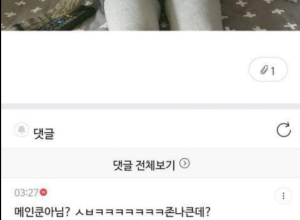 고양이가 왜이렇게 큰가요!?