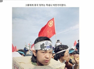 대륙의 마지막 봉기